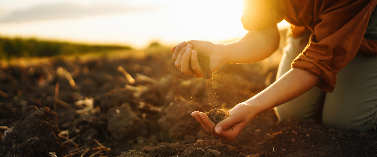 Shape of Soil