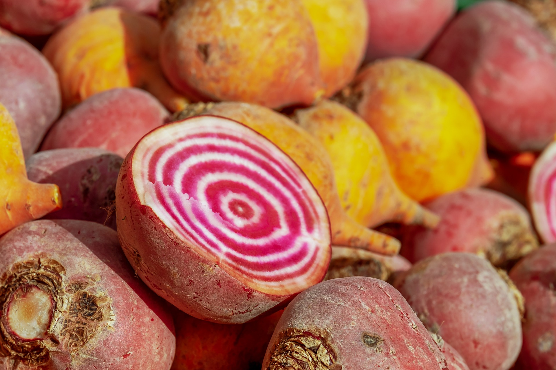 Yellow Beets