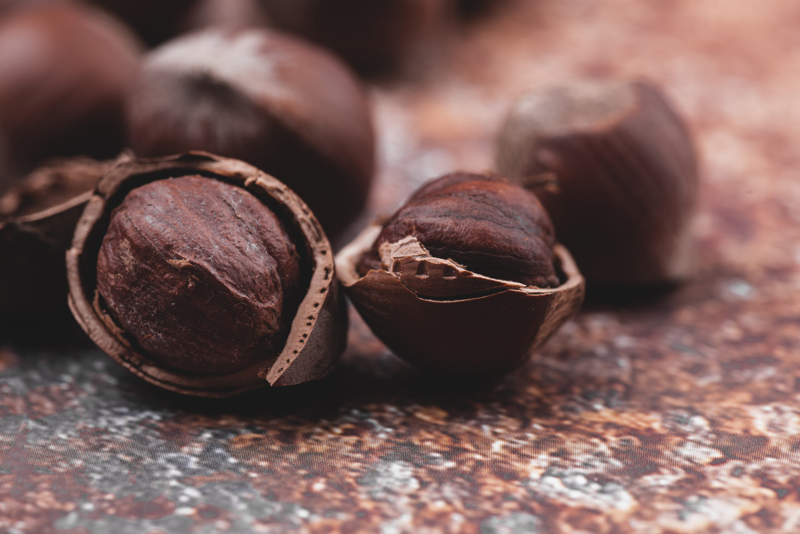 Cocoa Seeds processing