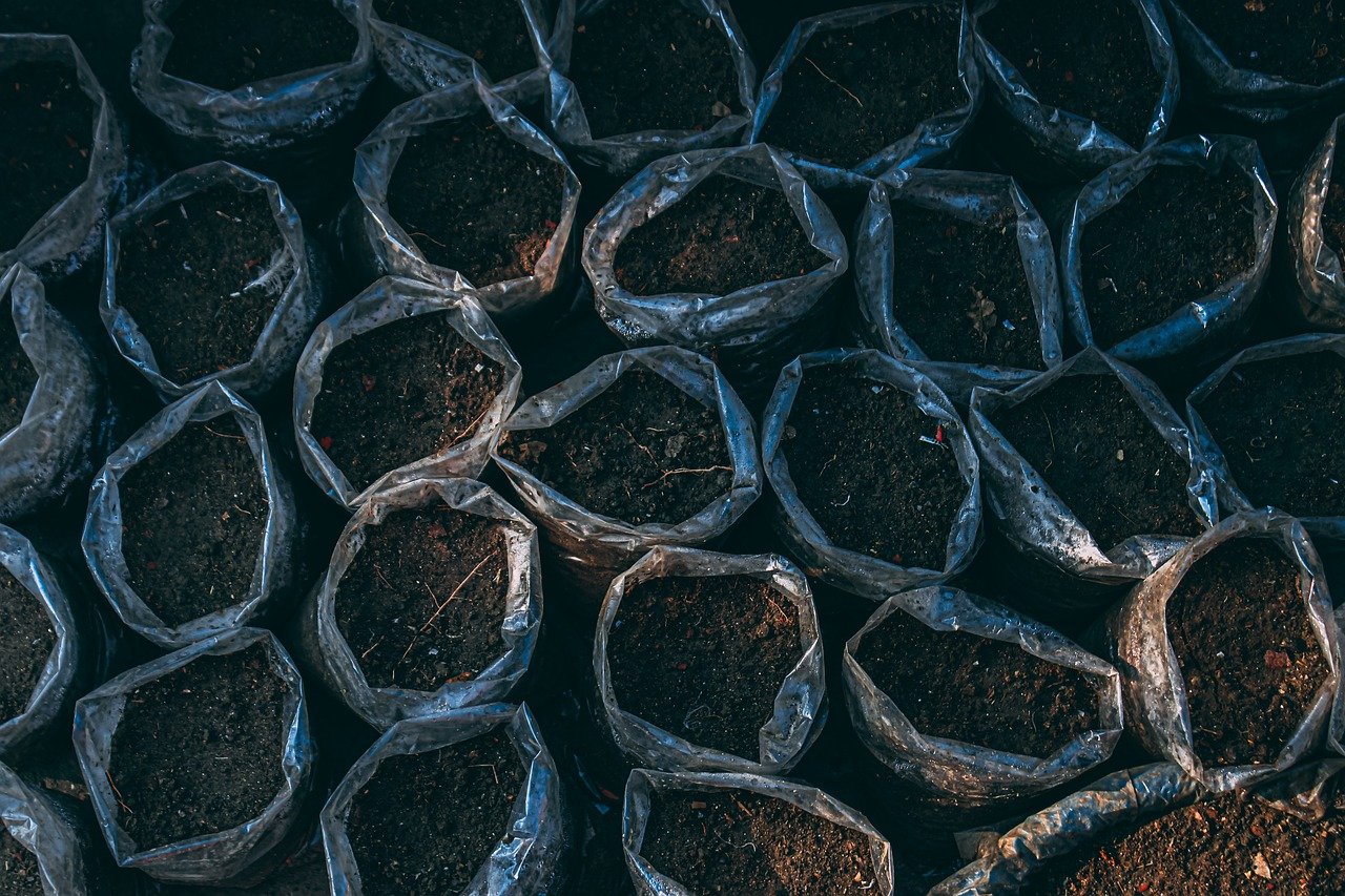 soil for aloe vera