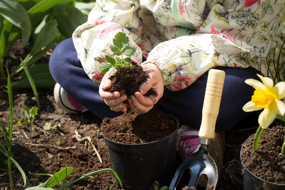 garden soil