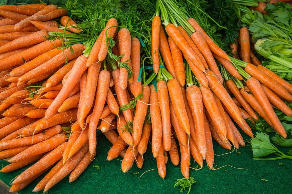 The Ultimate Guide to Carrot Seeds: Planting and Benefits