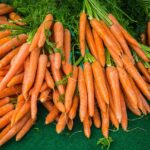 The Ultimate Guide to Carrot Seeds: Planting and Benefits