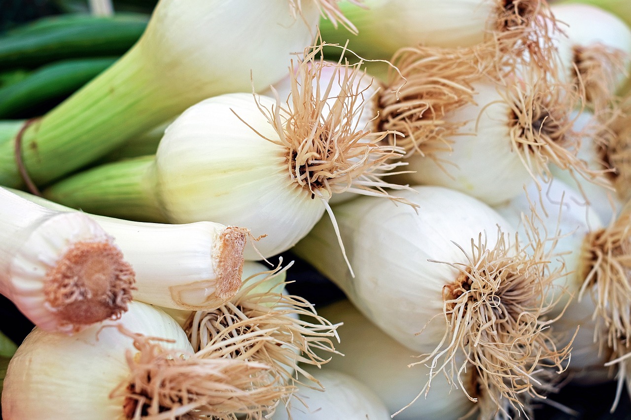 spring onions