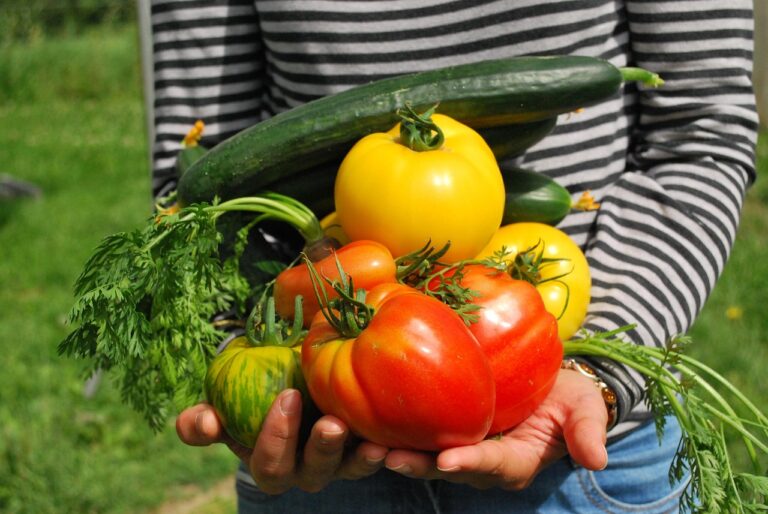summer vegetables