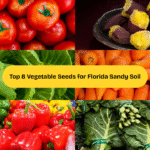 sandy soil vegetable seeds