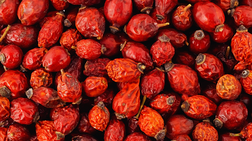 Choosing the Right Rose Seeds