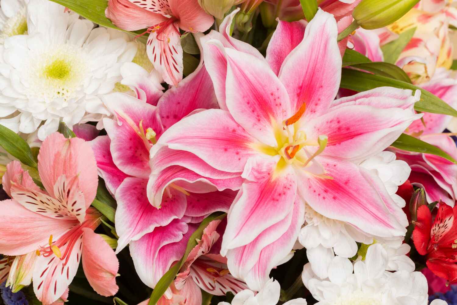 Pink Lily Valley: Inspiration for Your Garden Design